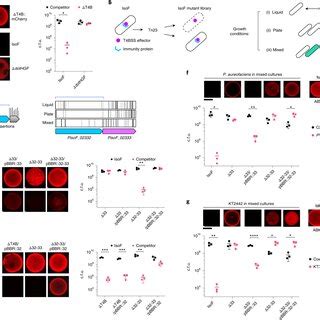 Isof Range Event に対する画像結果