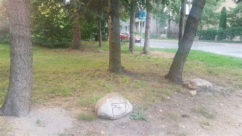 Toradh íomhá ar Linux Distro Dev Meme