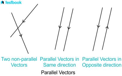 Image result for Parallel Vectors a Level Maths