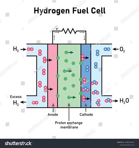 Schematic Diagram Hydrogen Fuel Cell Electrochemical Stock Vector ...