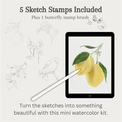 Image result for Lily Pad Procreate Brush
