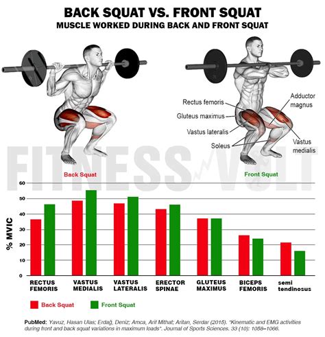 Image result for Squat Chart