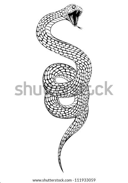 Image result for Snake Open Mouth Vector