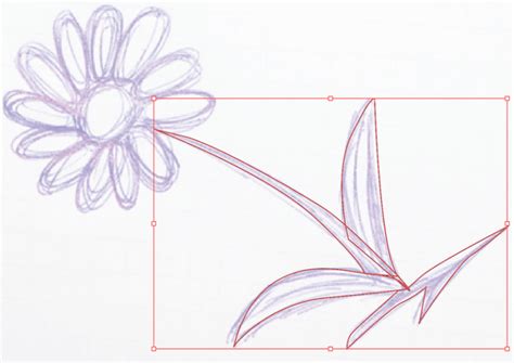 Image result for Vectorize Hand Drawing