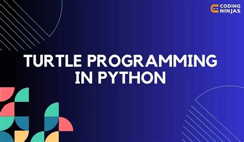 Image result for Turtle Programming in Python Code