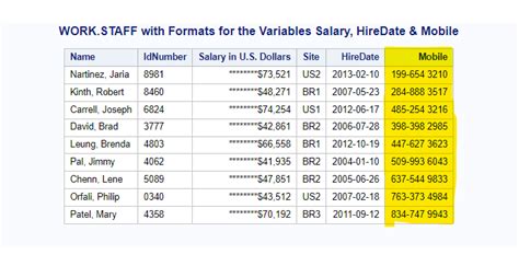 Image result for SAS Number Format