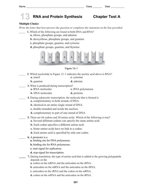 Image result for Protein Making Synthesis Lab Answer Key