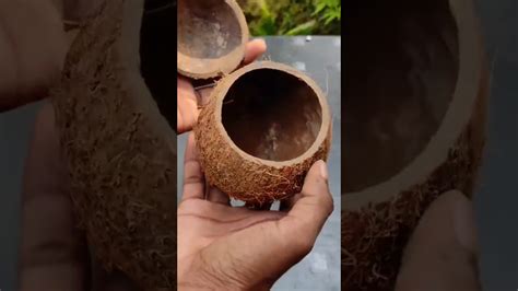 Innovative Coconut Shell に対する画像結果