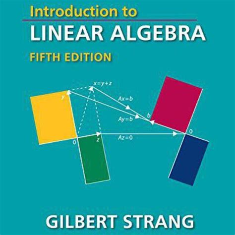 Toradh íomhá ar Introduction to Linear Algebra Mark Lebonis
