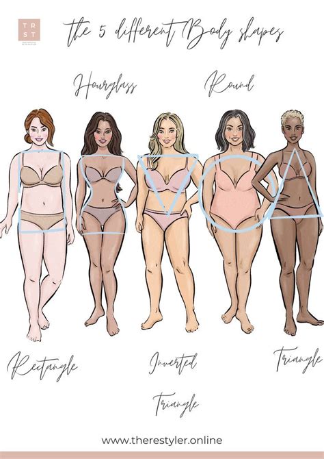 Body Types Chart Drawing に対する画像結果