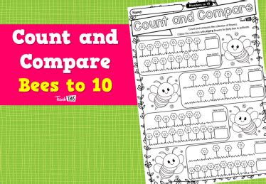 Image result for Comparing Collections