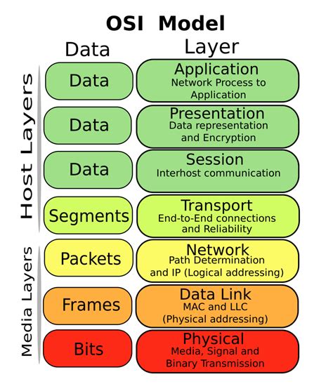 Image result for OSI Layer Data Types