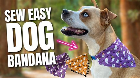 Toradh íomhá ar How to Make Dog Bandanas