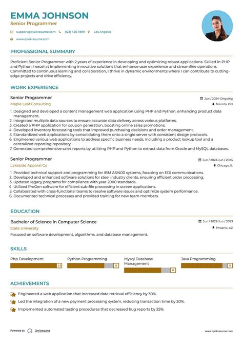 Image result for Senior Programmer Job Description Summary Examples