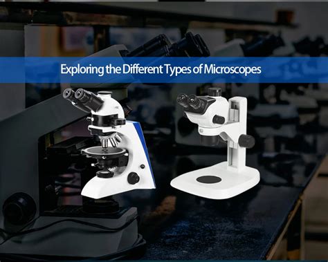 Toradh íomhá ar 10 Different Types of Microscope