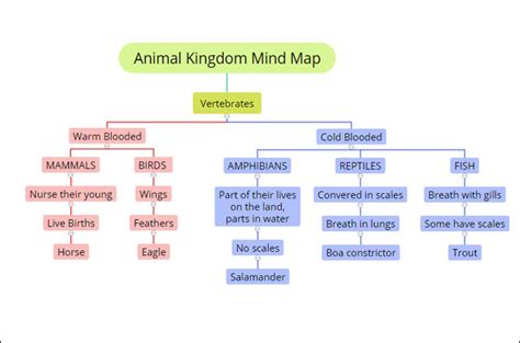 Classification Mind Map Template కోసం చిత్ర ఫలితం