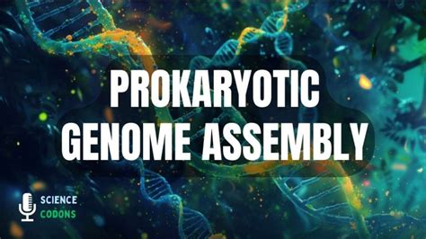 Image result for site:sciencecodons.com