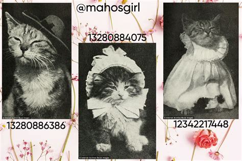 Toradh íomhá ar Barfing Cat Roblox Code