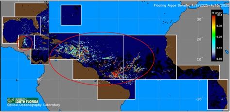 Image result for Florida Sea Week Problem Map