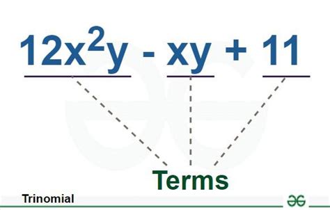 Image result for Trinomial General Triangle Structure