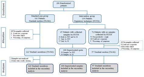 Image result for Gram-positive Algorithm