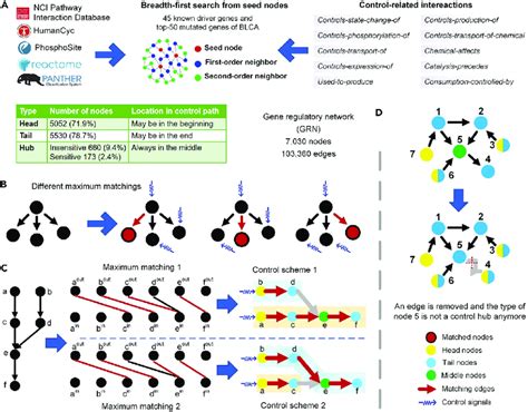 Image result for Regulate Complex Network
