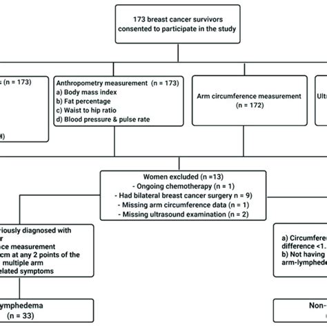 Image result for MD Classification Flowchart