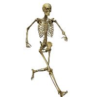 Afbeeldingsresultaten voor Skeleton Raster Line Polygon to Line