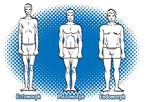 Image result for Most Fit Body Types