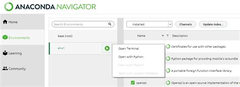 Python Conda に対する画像結果
