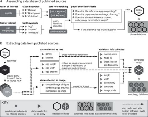 Insect Feature Extraction Dataset に対する画像結果