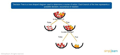 Explain Random Forest Algorithm with Example に対する画像結果
