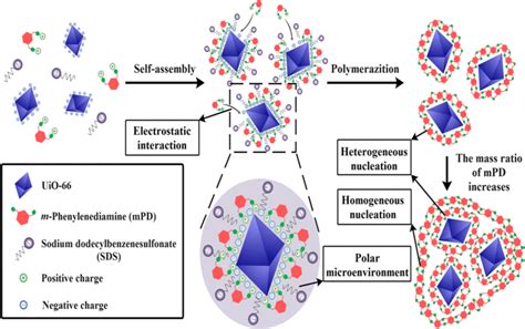 Image result for Core-Shell Tubular Structure