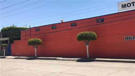 La Siesta Motel に対する画像結果