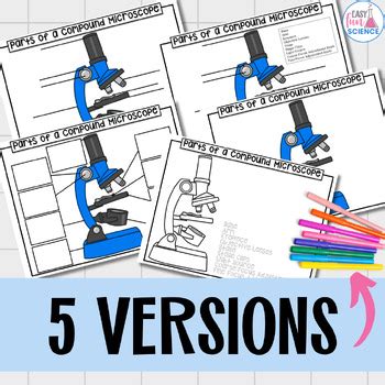 Image result for Microscope Diagram Worksheet