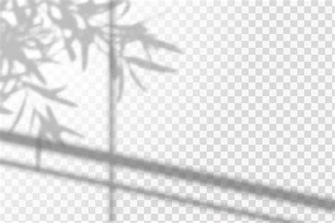 Free Transparent Vector Graphics に対する画像結果