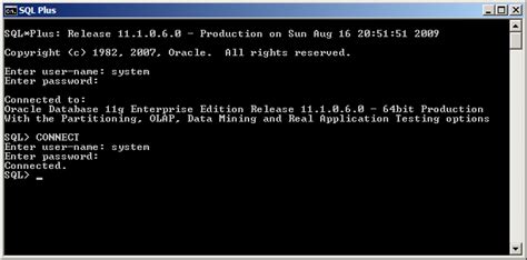 Oracle Application Command Line Interpreter に対する画像結果