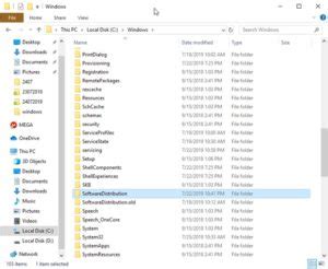 Résultat d’images pour Software Distribution Update On Windows Blue Box