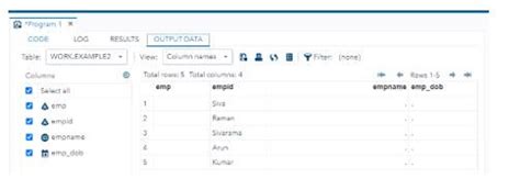Put Format SAS に対する画像結果