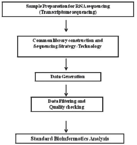 Image result for Capture Sequencing Workflow