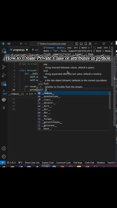 Image result for Private in Python Attributes