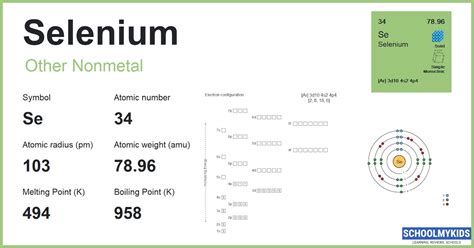 Image result for Atom Structure of Selenium