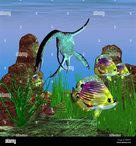 Image result for Nessie Pleosaurus