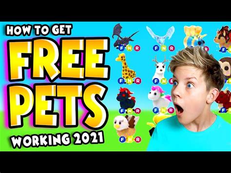 Toradh íomhá ar Roblox Adopt Me Free Pets Script