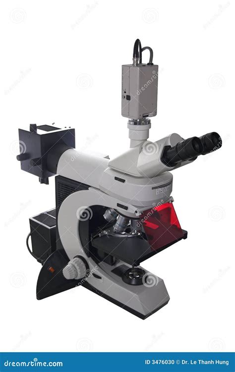 Image result for Electronic Microscope Image