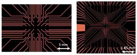 Image result for Multi-Electrode Array