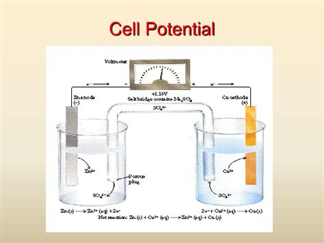Image result for Full Potential Cell