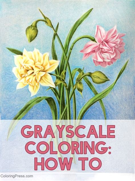 Image result for Grayscale Coloring Books Tutorials