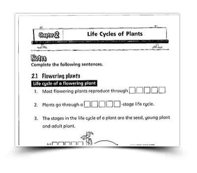 Image result for Primary Science Notes