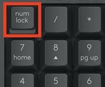 Image result for Numpad Delete Key